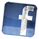follow the wild on facebook and download two free songs!
